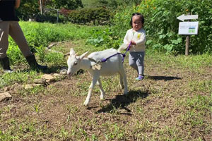 地域に密着した牧場