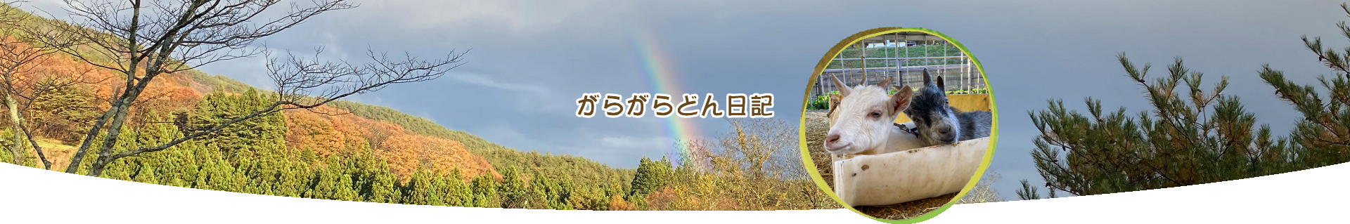 がらがらどん日記