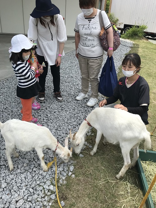 あぜりあ市に参加してきました