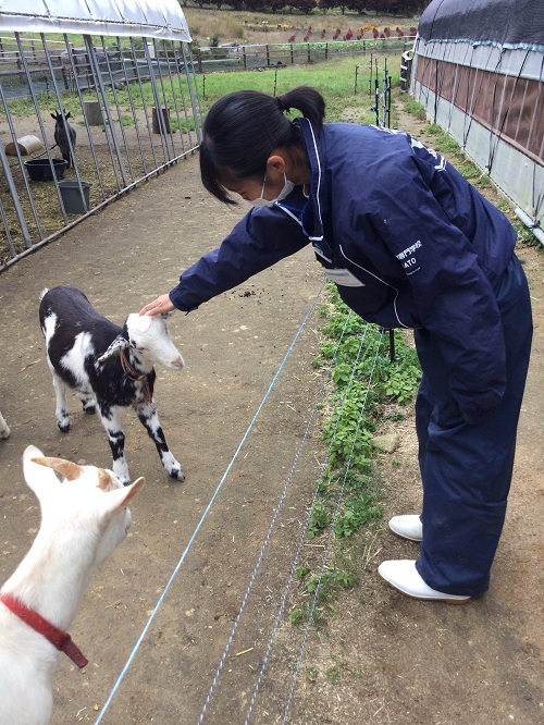 学生さんが研修に来ています