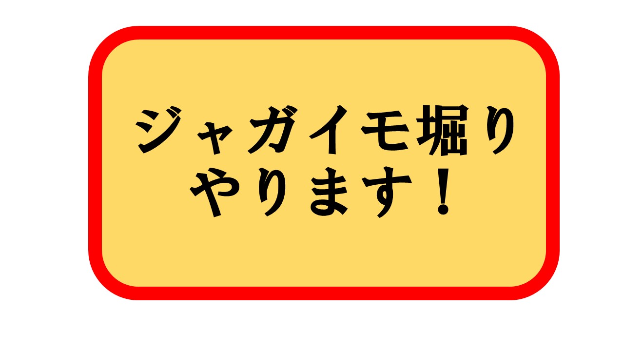 ジャガイモ堀り体験はじめます