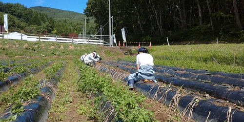 寒かったり、急に暑かったり