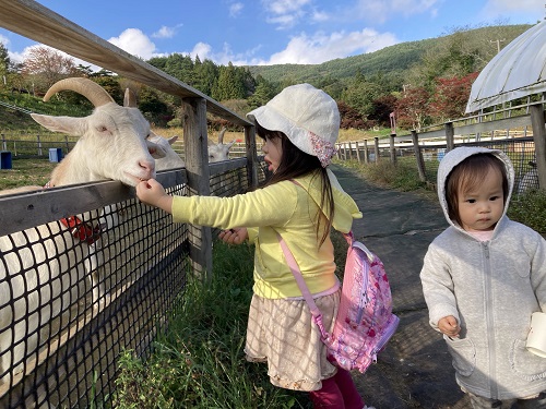 餌やり体験のお客様