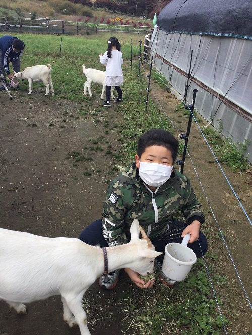 餌やり体験のお客様